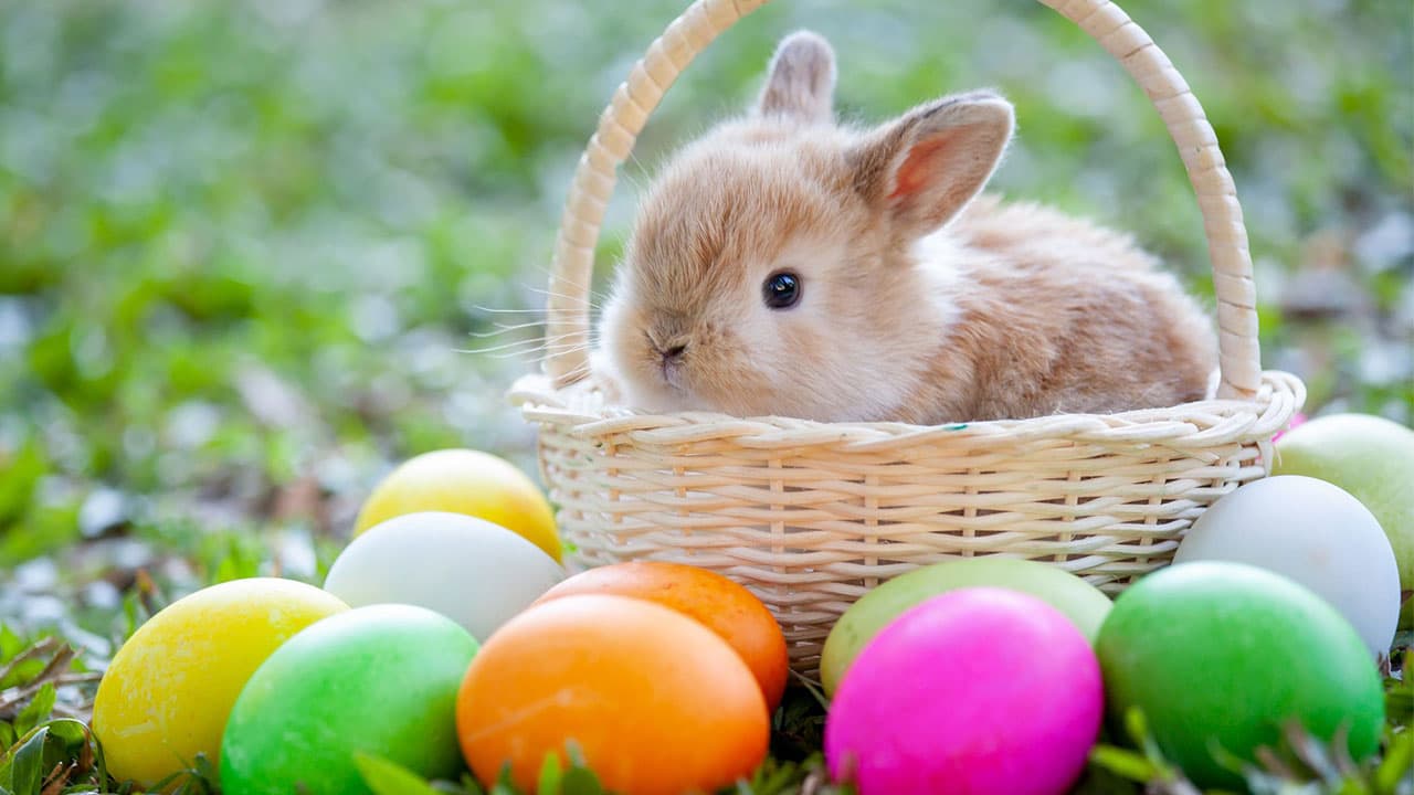 Easter Monday 2019 In Aruba Easter Monday 2019 In Aruba