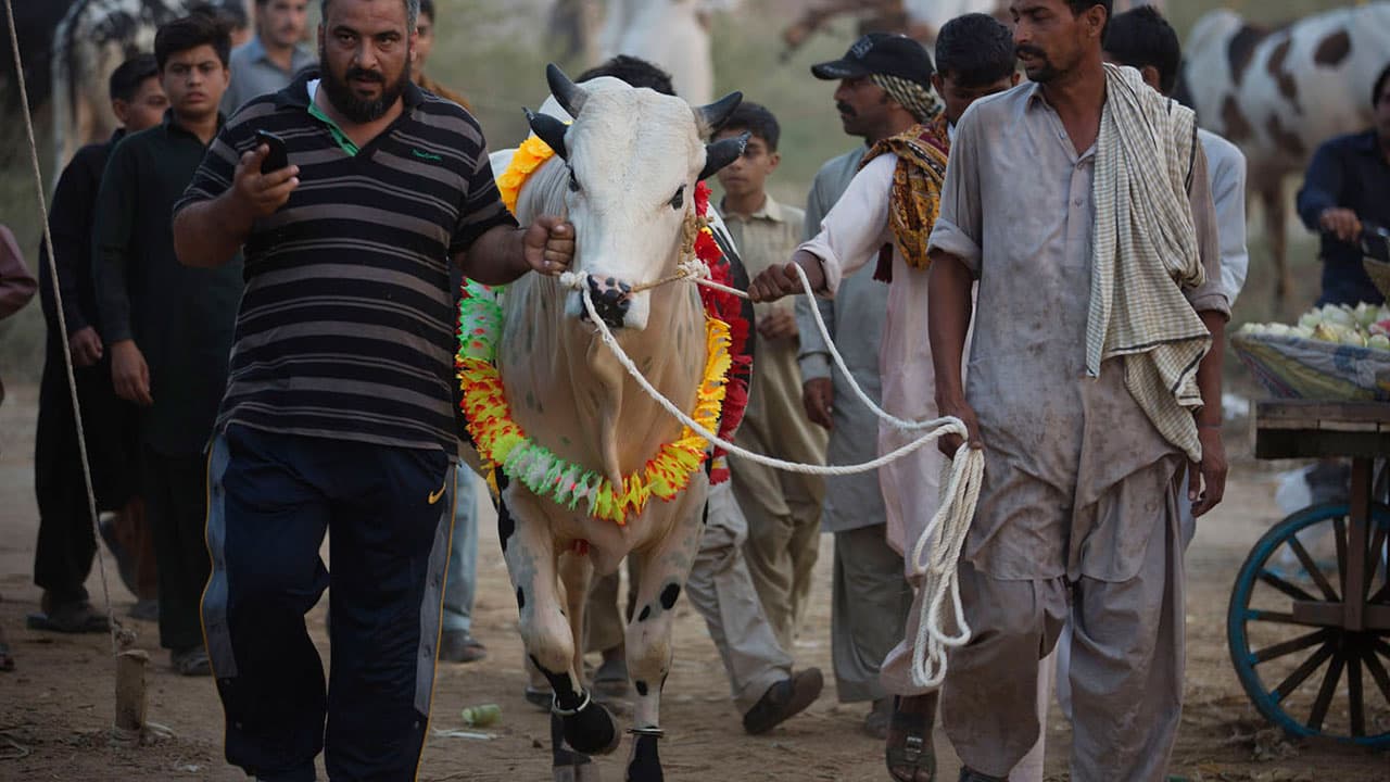 Eid Al Adha 2023 In Pakistan