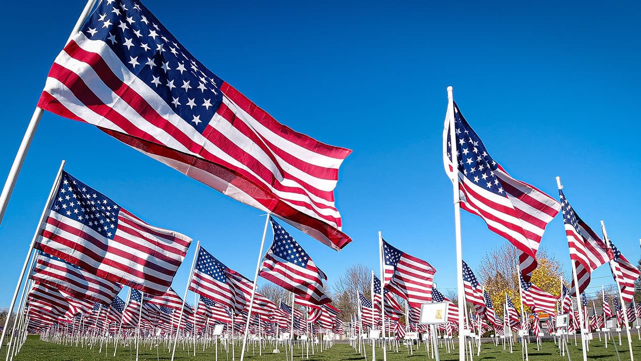 Veterans Day in US